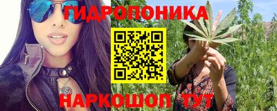 скорость Гай