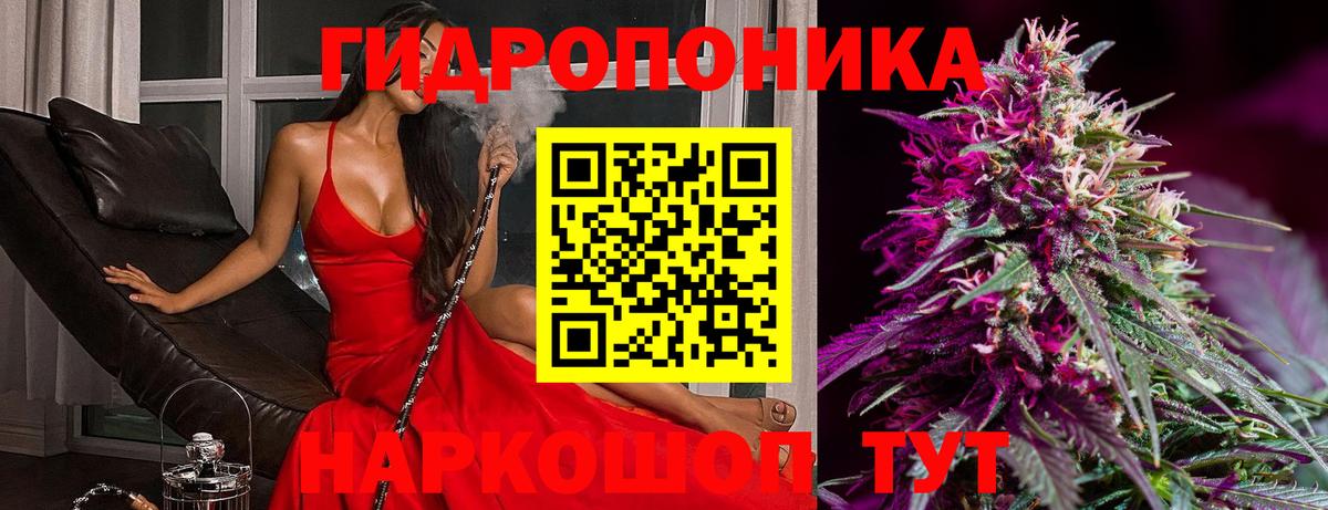 Бошки Шишки MAZAR Омск
